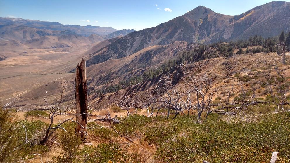 Eastern Sierra Nevada