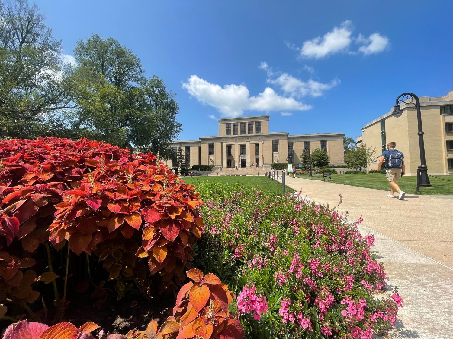 Flowers and a student walking to the entrance to the Pattee Library