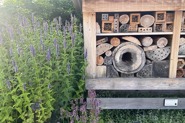 bee housing