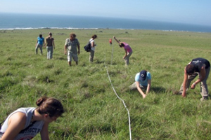 Vegetation Dynamics Lab